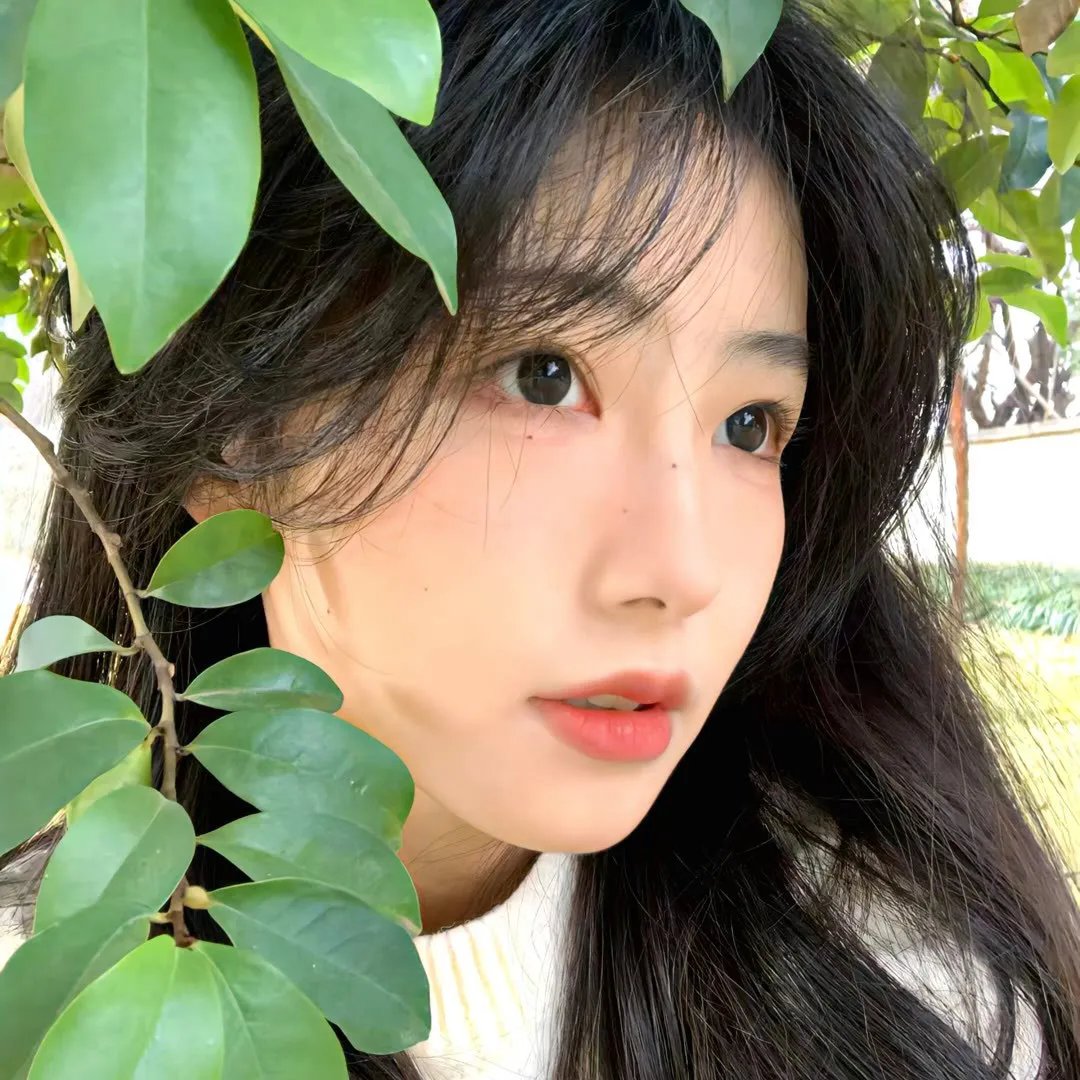 凤皇传